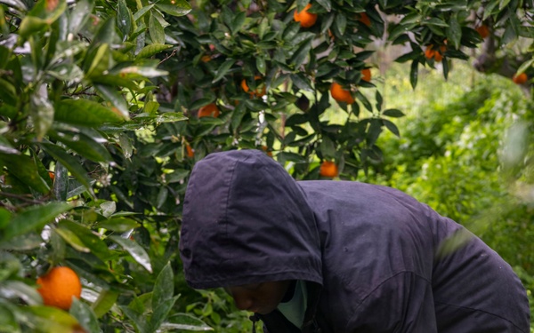 NSA Souda Bay gives back to the local community