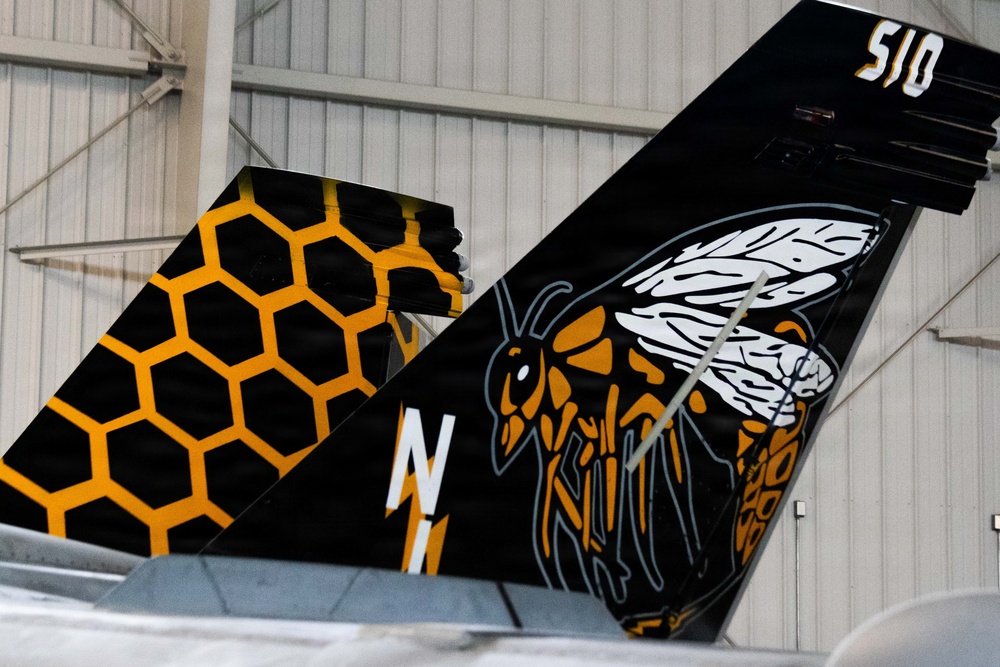 Electronic Attack Squadron 138 Conducts Change of Command Ceremony