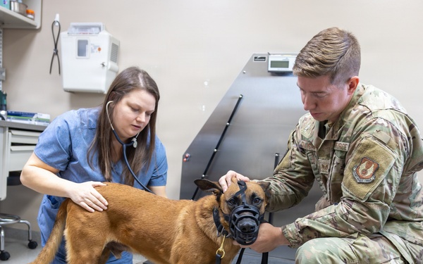 Tinker Air Force Base welcomes new Veterinarian
