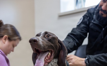 Tinker Air Force Base welcomes new Veterinarian