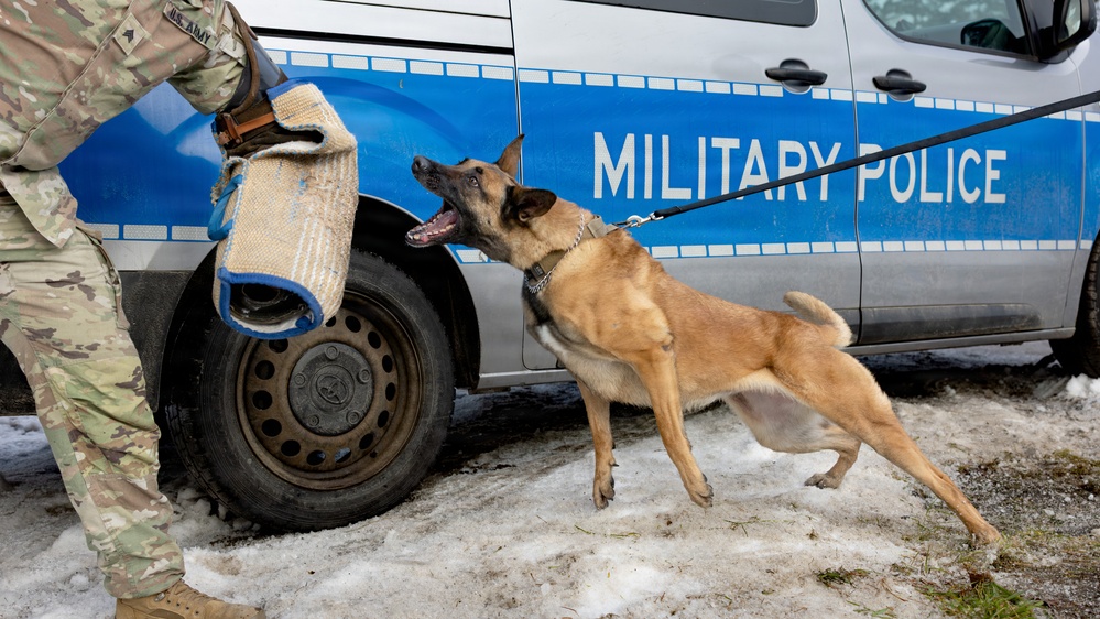 K9 Companions