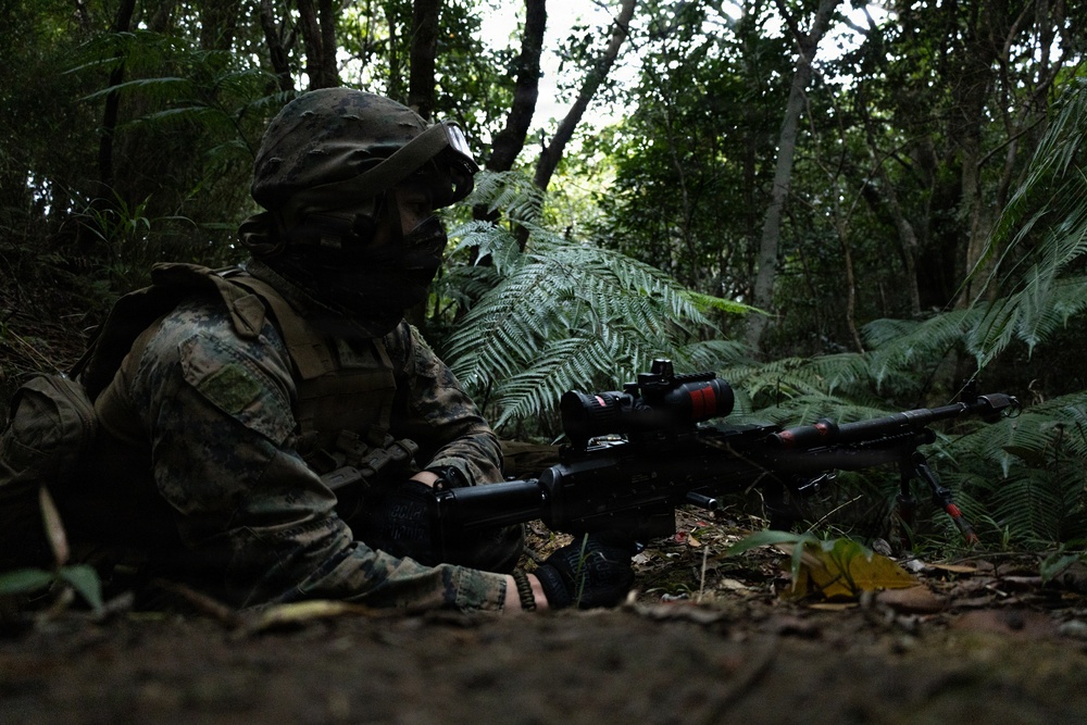 31st MEU | Lima Company conducts field operations training