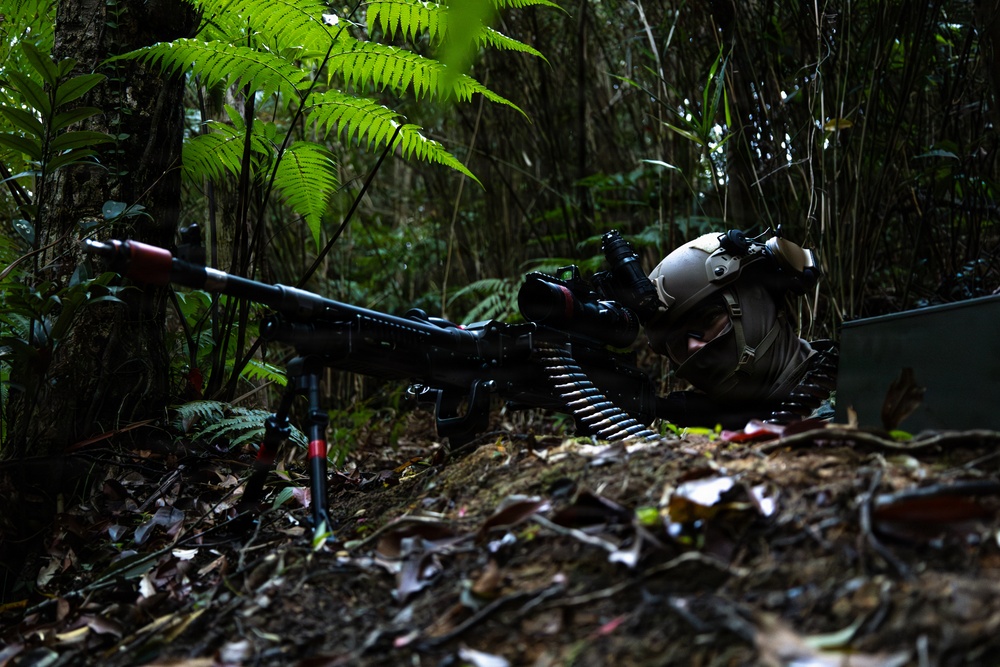 31st MEU | Lima Company conducts field operations training