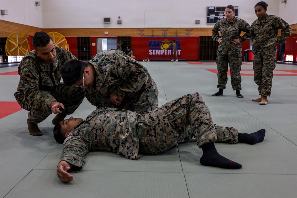 III Marine Expeditionary Force Support Battalion Marines participate in Marine Corps Martial Arts Program brown belt training