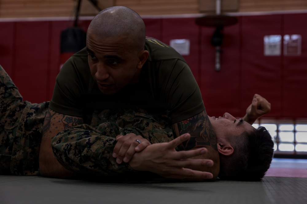 III Marine Expeditionary Force Support Battalion Marines participate in Marine Corps Martial Arts Program brown belt training