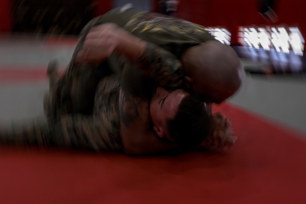 III Marine Expeditionary Force Support Battalion Marines participate in Marine Corps Martial Arts Program brown belt training