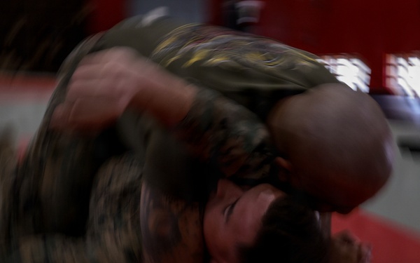 III Marine Expeditionary Force Support Battalion Marines participate in Marine Corps Martial Arts Program brown belt training