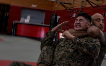 III Marine Expeditionary Force Support Battalion Marines participate in Marine Corps Martial Arts Program brown belt training