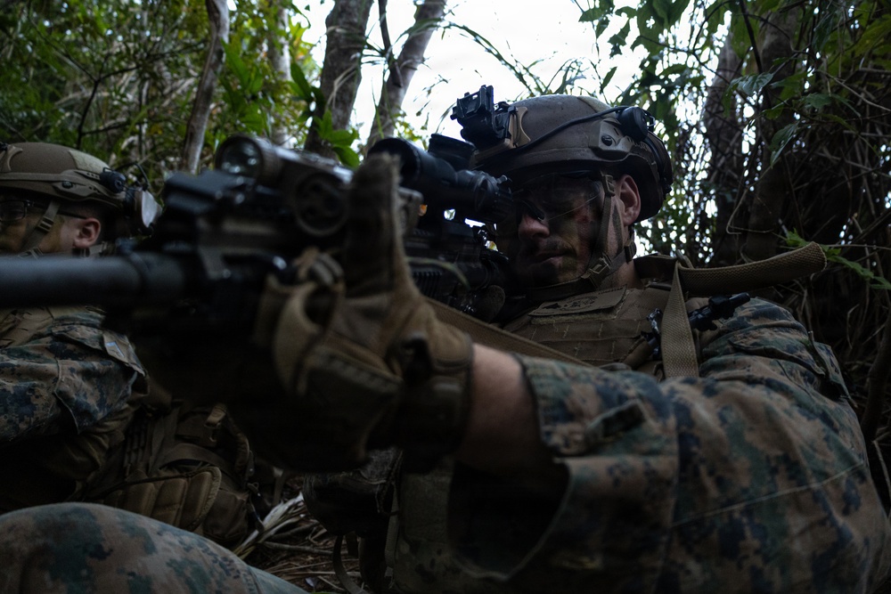 31st MEU | Lima Company conducts field operations training
