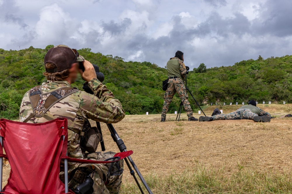 Tropical Dagger XIII