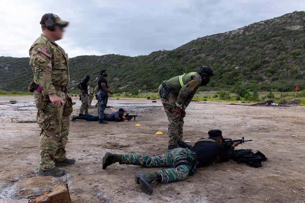 Tropical Dagger XIII