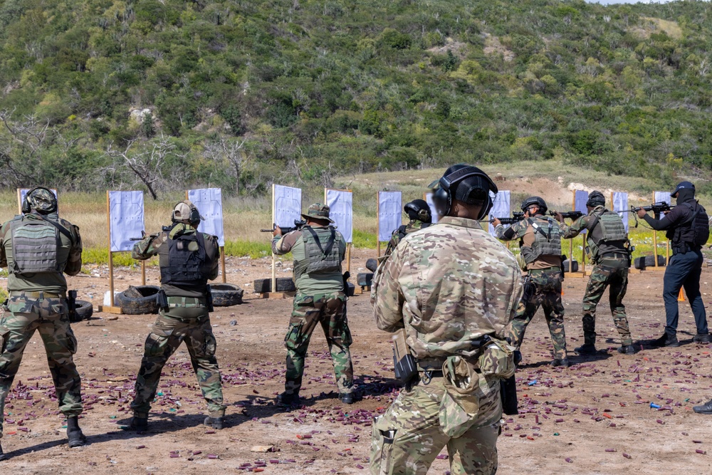 Tropical Dagger XIII