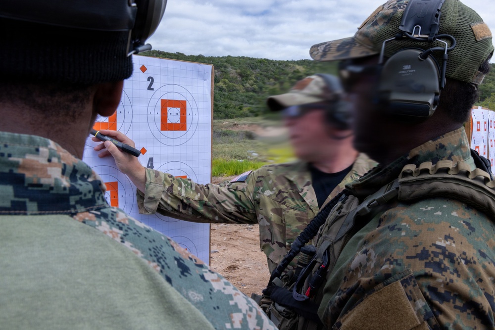 Tropical Dagger XIII