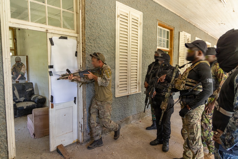 Tropical Dagger XIII