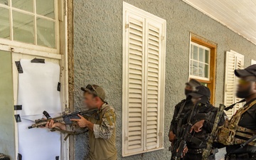 Tropical Dagger XIII