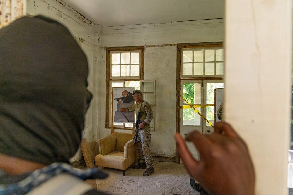 Tropical Dagger XIII