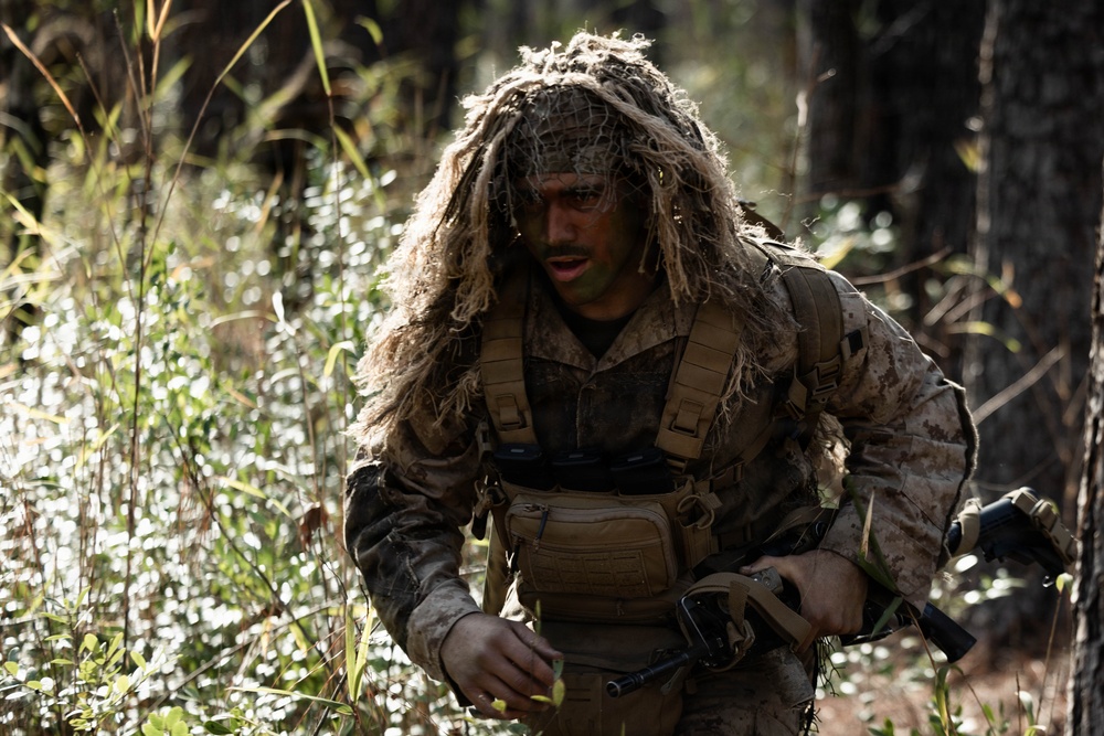 24th MEU CERTEX: V32 Scouts Stalking Lanes