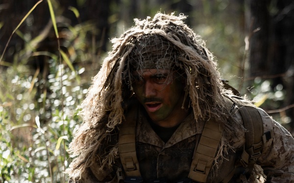24th MEU CERTEX: V32 Scouts Stalking Lanes