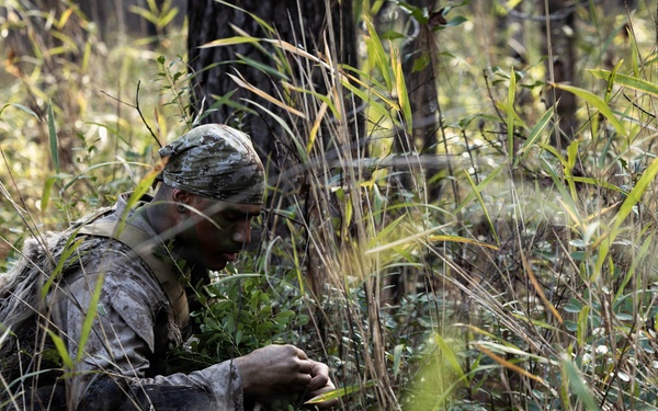 24th MEU CERTEX: V32 Scouts Stalking Lanes
