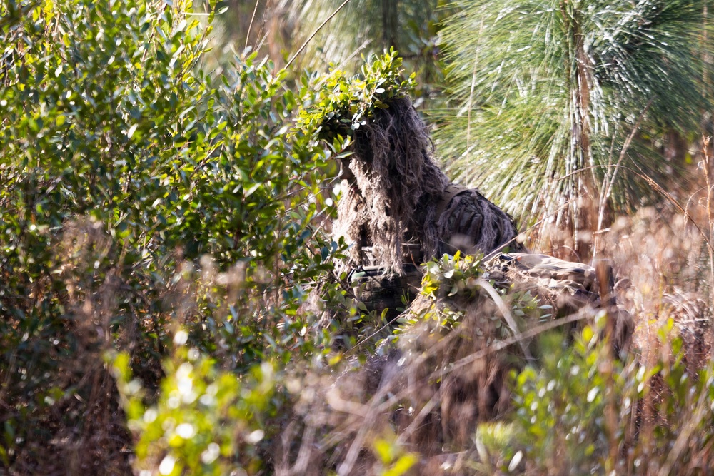 24th MEU CERTEX: V32 Scouts Stalking Lanes