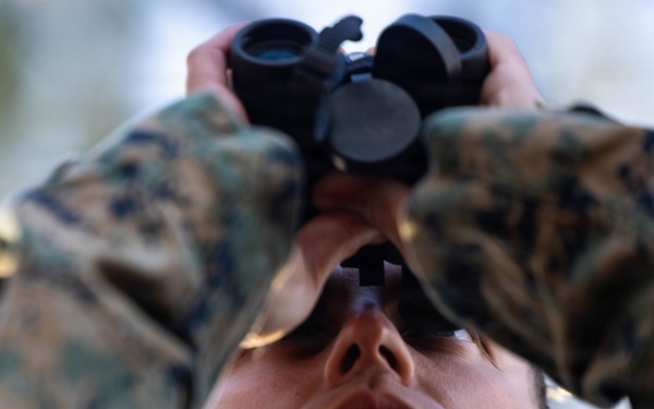 24th MEU CERTEX: V32 Scouts Stalking Lanes