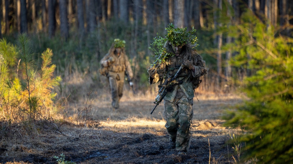 24th MEU CERTEX: V32 Scouts Stalking Lanes
