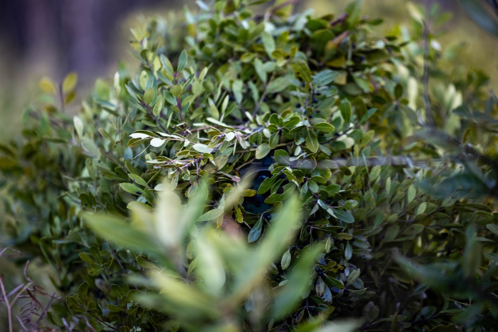 24th MEU CERTEX: V32 Scouts Stalking Lanes
