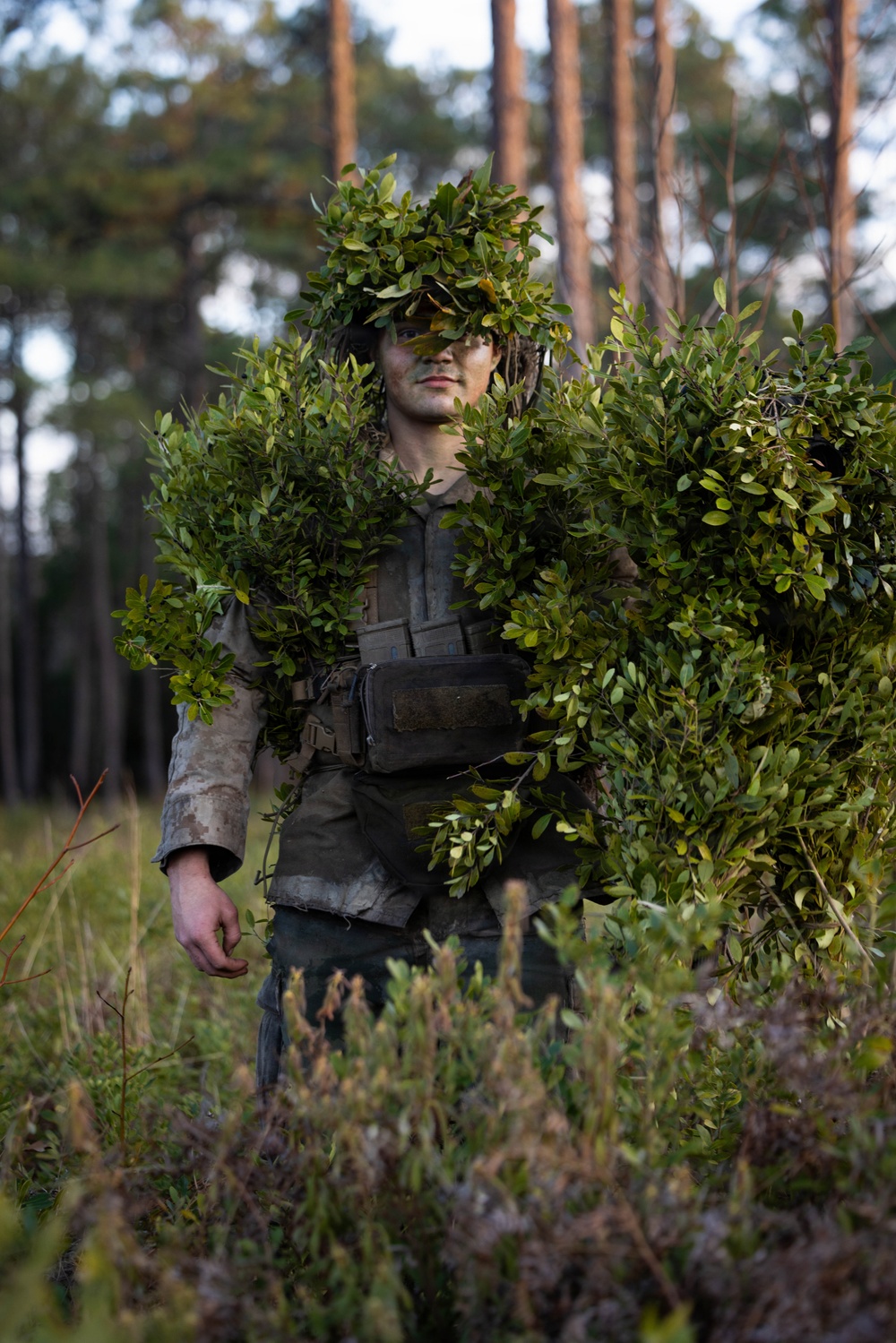 24th MEU CERTEX: V32 Scouts Stalking Lanes