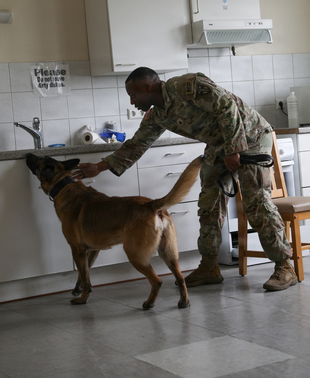 100th Military Working Dog Detachment Training