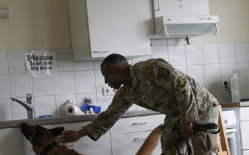 100th Military Working Dog Detachment Training