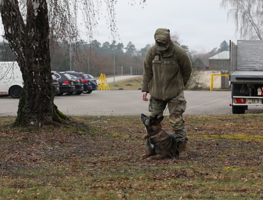 100th Military Working Dog Detachment Training