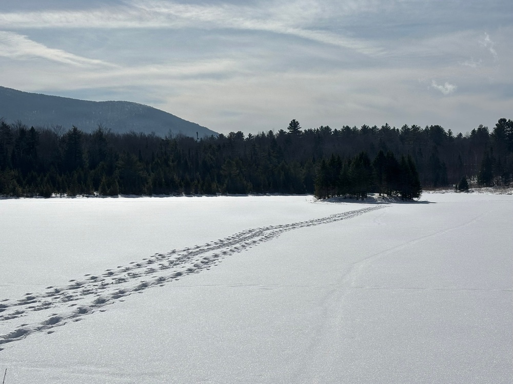 A Snowy Blueberry Lake
