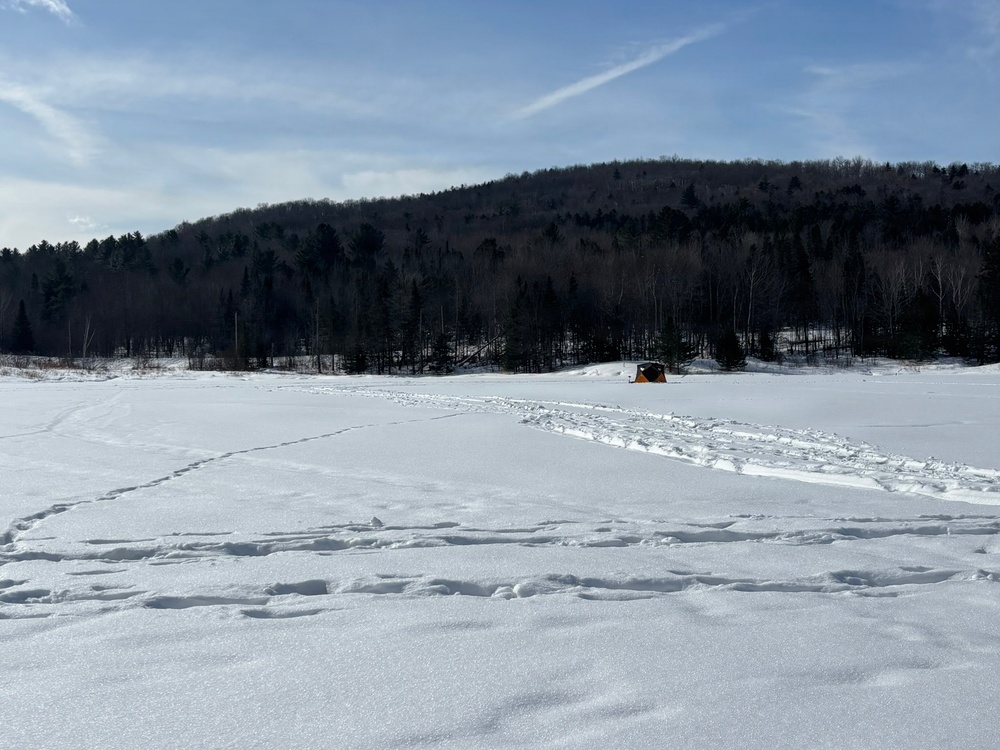 A Snowy Blueberry Lake