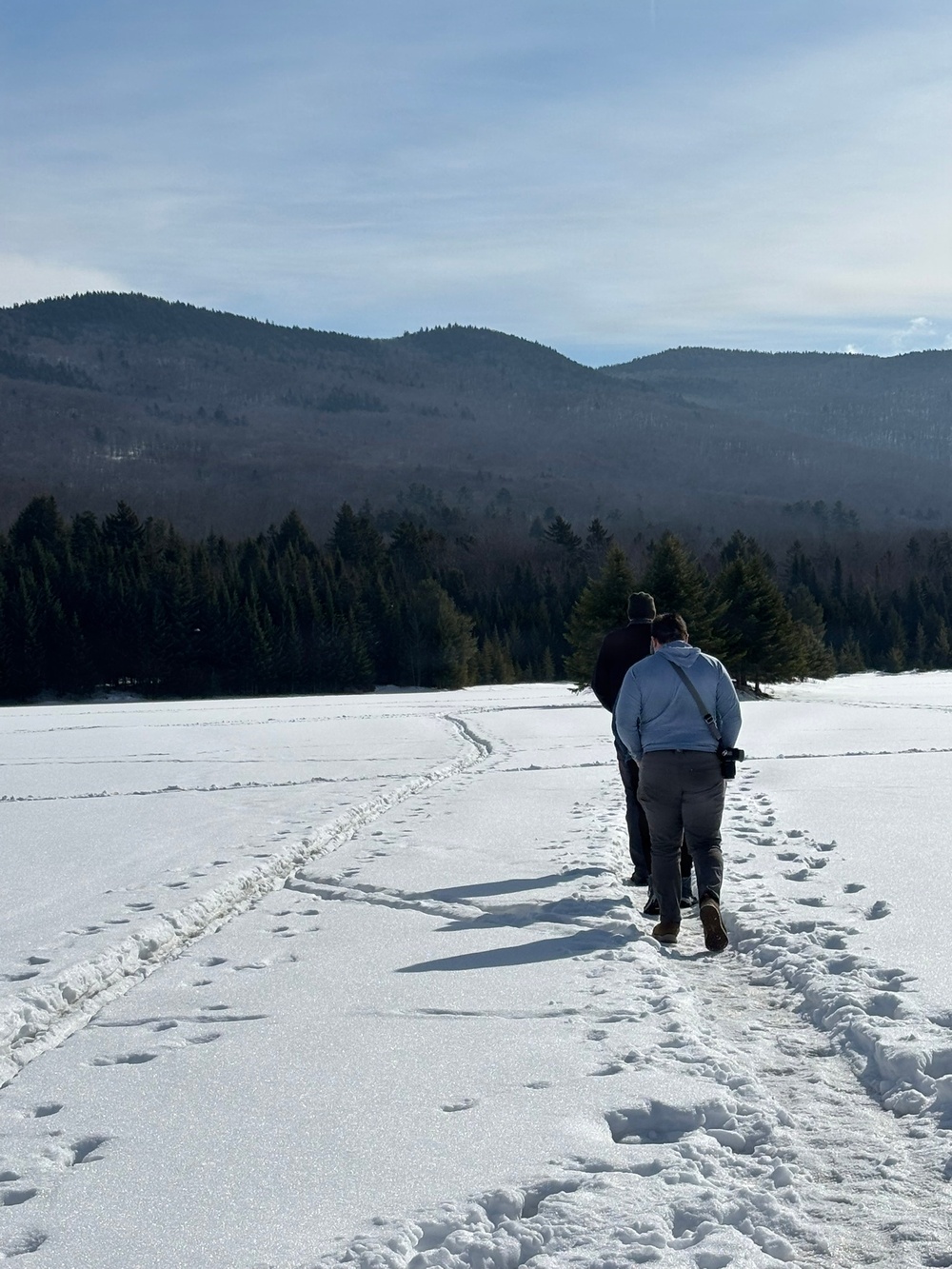 A Snowy Blueberry Lake