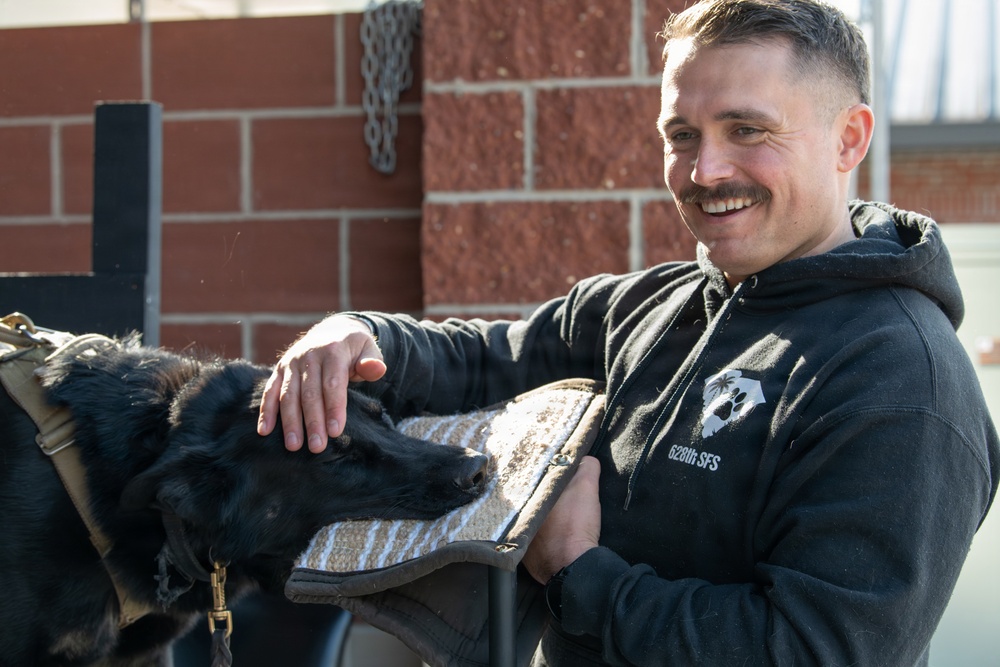 Military working dogs get a new Home at Joint Base Charleston