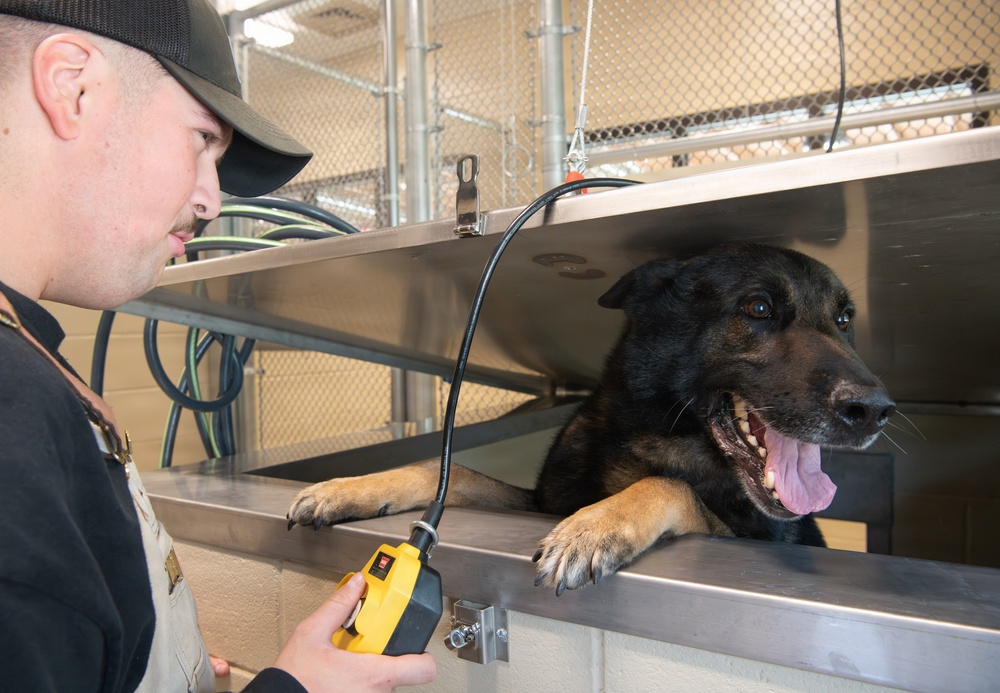 Military working dogs get a new Home at Joint Base Charleston