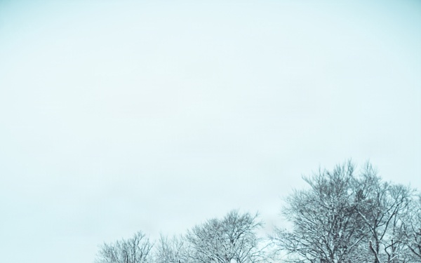 Combined Resolve 26-05