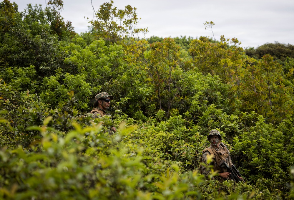 3rd LCT executes patrol base and simulated civil engagement operations during MCCRE