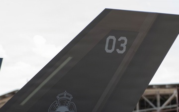 Third Finnish Air Force F-35 Lightning II Arrives at Ebbing Air National Guard Base