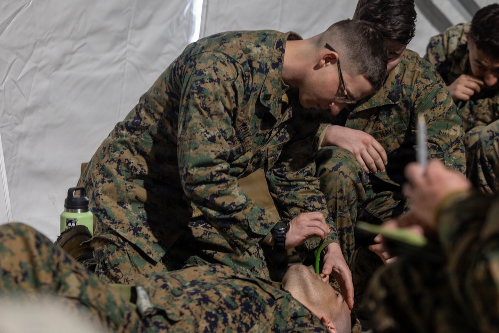 24th MEU CERTEX: TCCC