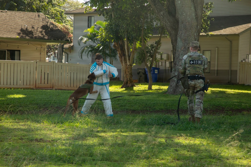 130th Engineer BDE Static Display with Japanese Allies