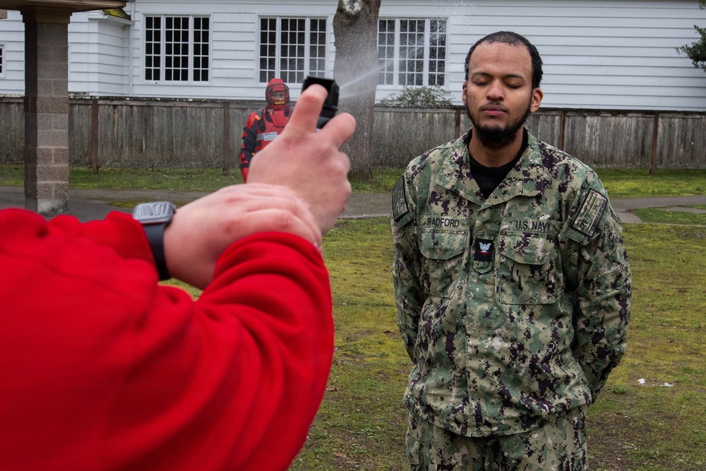 USS Ronald Reagan Sailors Conduct Security Reaction Force Training