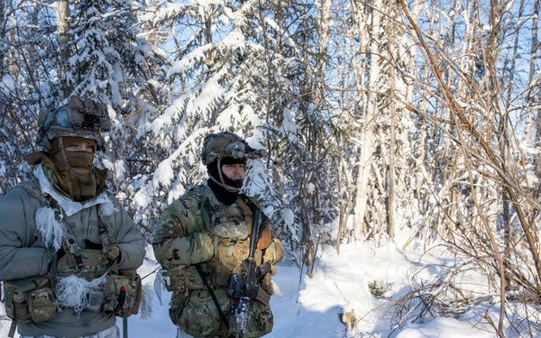 11th Airborne Division executes Arctic airborne operations during JPMRC 26-02 in Alaska