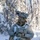 11th Airborne Division executes Arctic airborne operations during JPMRC 26-02 in Alaska