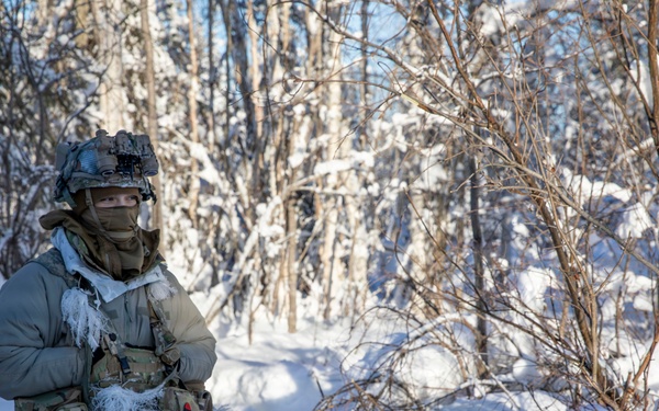11th Airborne Division executes Arctic airborne operations during JPMRC 26-02 in Alaska