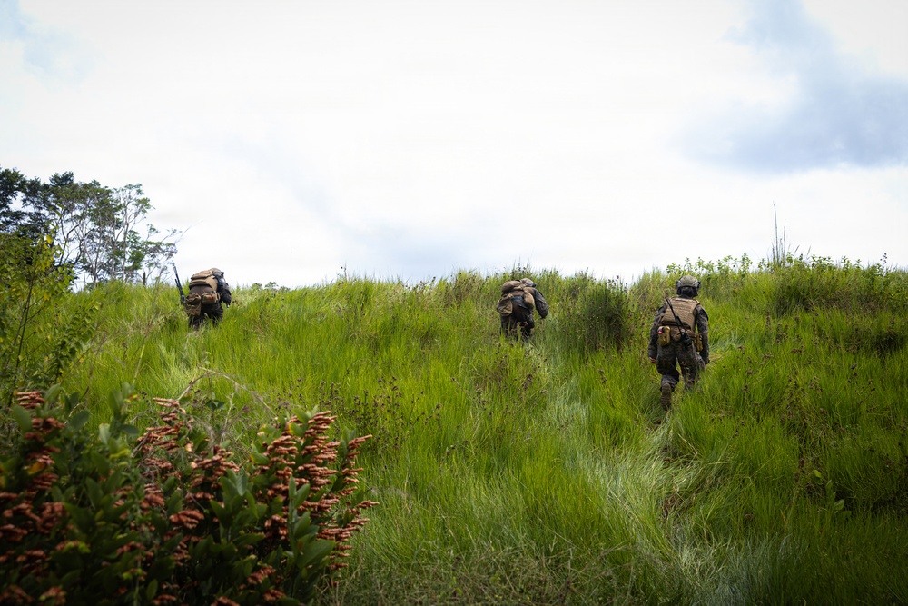 Panamanian Partnership 26: 2nd Combat Engineer Battalion Fire Team Attack Range