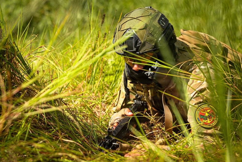 Panamanian Partnership 26: 2nd Combat Engineer Battalion Live Fire And Maneuver Range Training