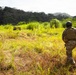Panamanian Partnership 26: 2nd Combat Engineer Battalion Live Fire And Maneuver Range Training