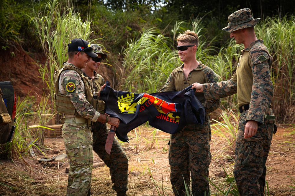 Panamanian Partnership 26: 2nd Combat Engineer Battalion Live Fire And Maneuver Range Training