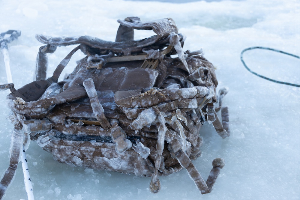 CORE26 | U.S. Marines Participate in Polar Plunge during Cold Weather Survival Training